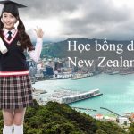 Học bổng du học New Zealand 2019